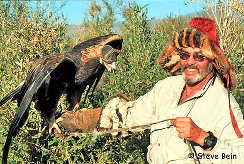 Photo of Dr. Stve Bein in Mongolia with Golden Eagle