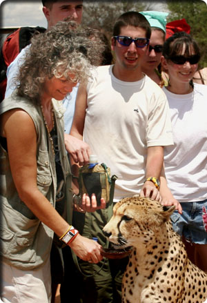 Photo of Dr. Laurie Marker Feeding Cheetah