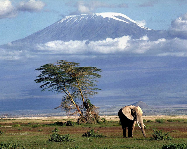 Picture of Mt Kilimanjaro