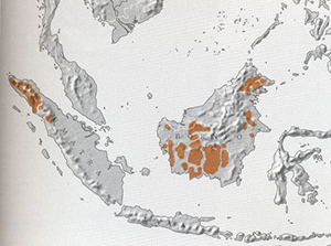 Orangutan Distribution Map